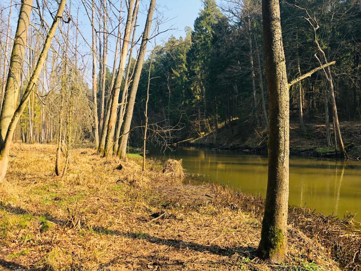 Apartament Sloneczny Olsztyn  Luaran gambar